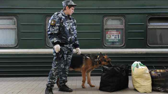 Можно ли провозить в поезде шокер | Тандер