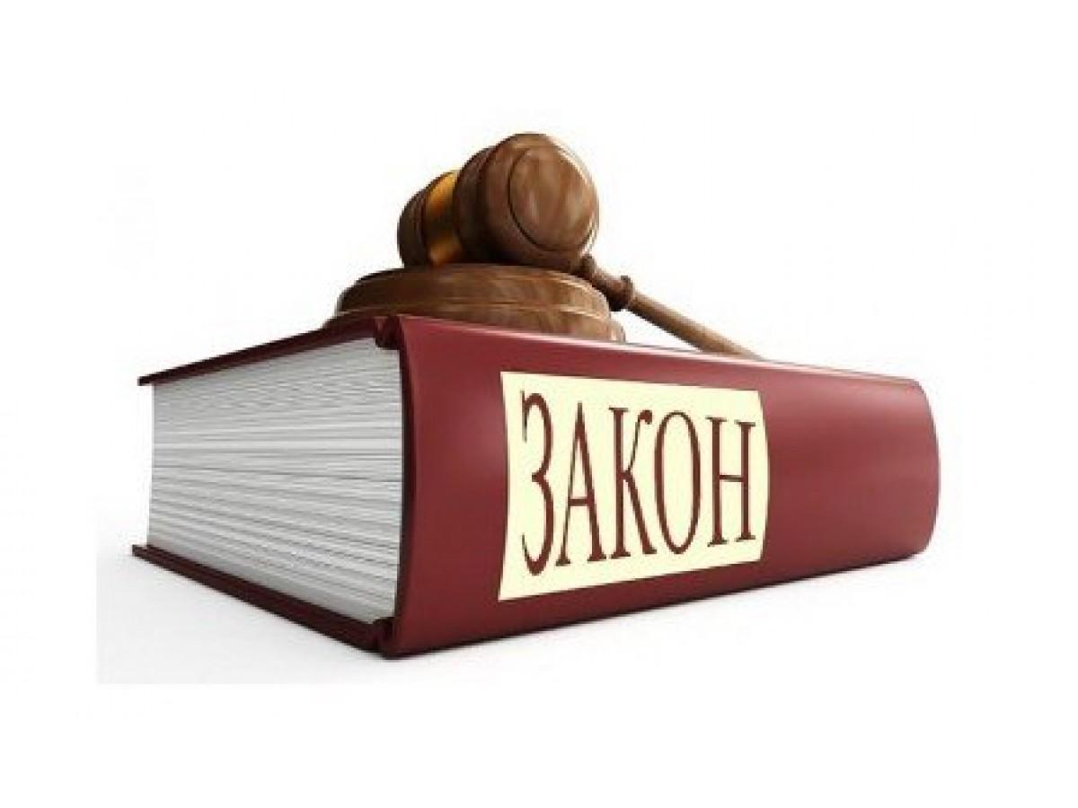 Шокеры и закон: ответственность за использование ЭШУ фото 1